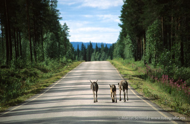Lappland, Finnland