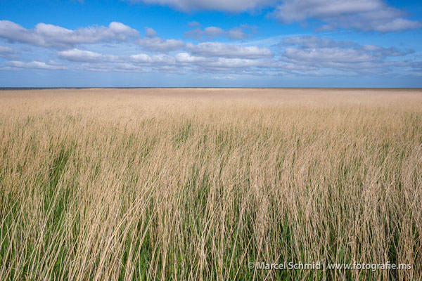 Sylt, Deutschland