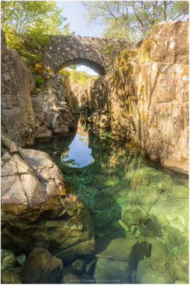 Schottland 12