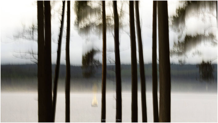 Nature in Motion 03