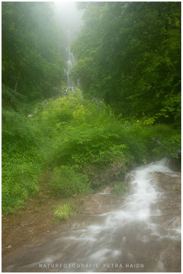 Wasserwelten 17