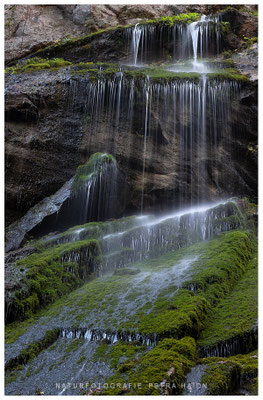 Wasserwelten 40