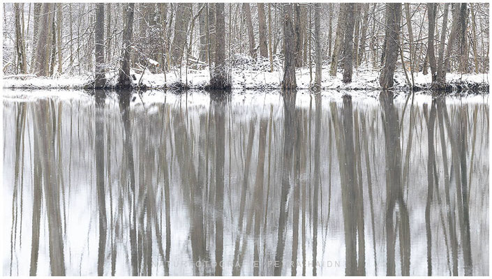 Kreative Natur 62