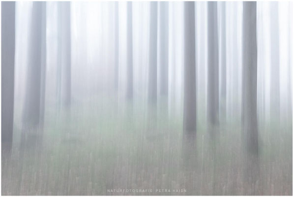 Kreative Natur 13