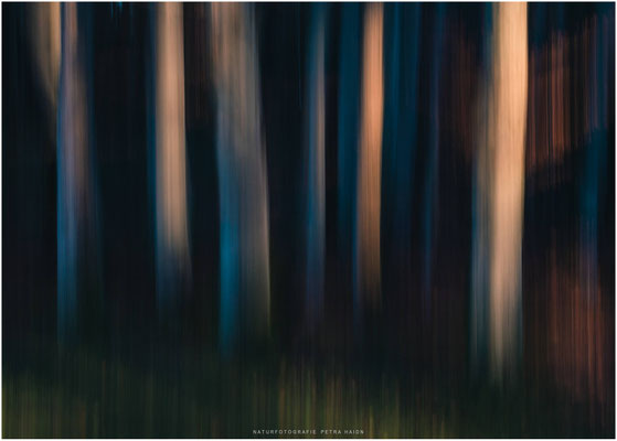 Kreative Natur 23