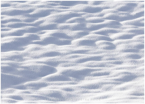 Landschaft 84