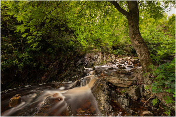 Wasserwelten 08