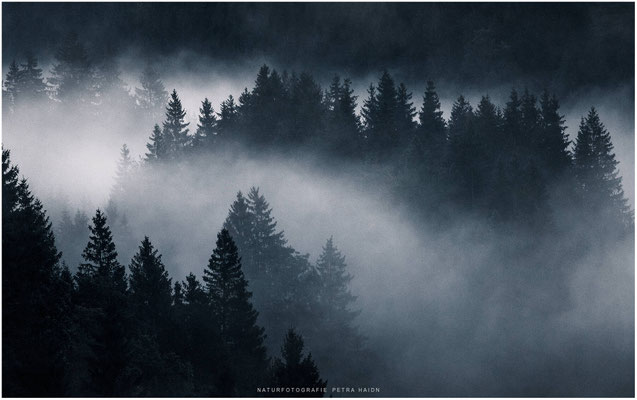 Landschaft 21