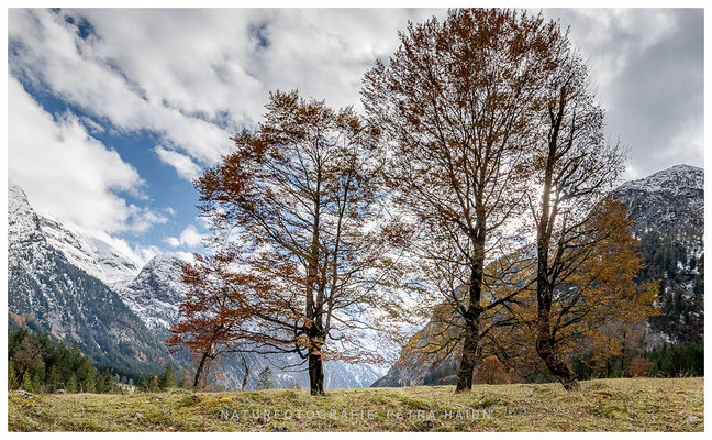 Galerie - Landschaft - Österreich - 08