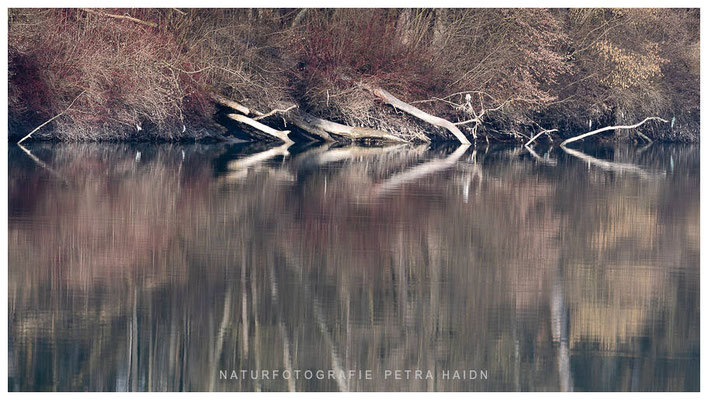 Kreative Natur 40