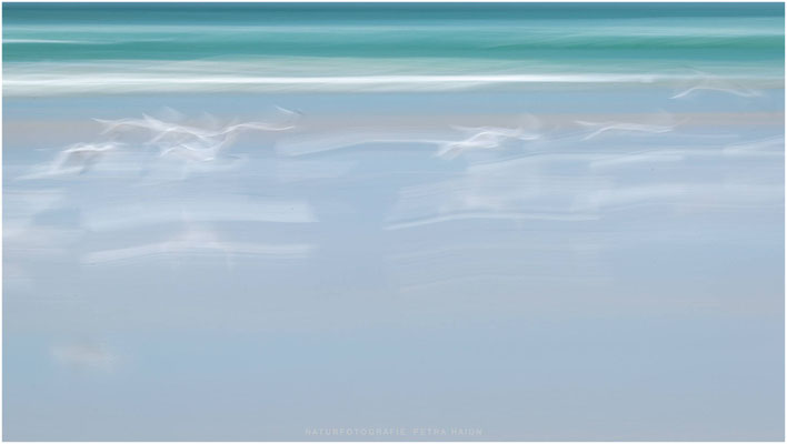 Bretagne 17