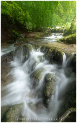 Wasserwelten 18