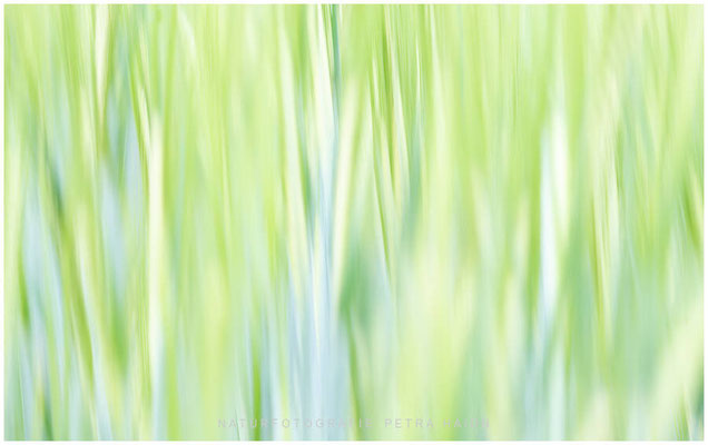 Kreative Natur 61