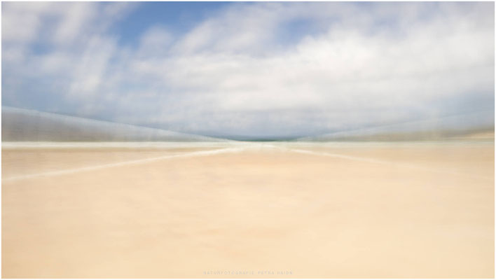 Nature in Motion 01