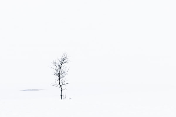 Minimalismus 1