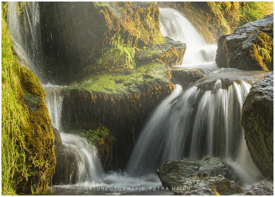 Wasserwelten 10