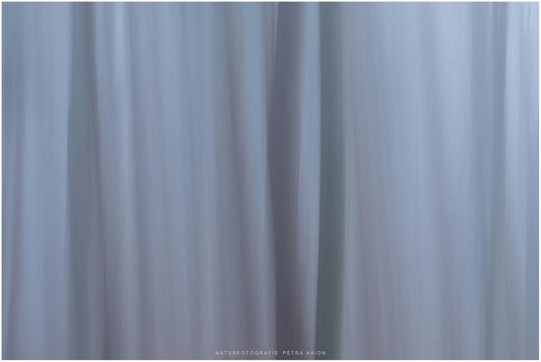 Kreative Natur 12