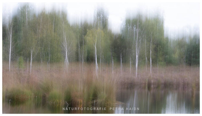 Kreative Natur 24