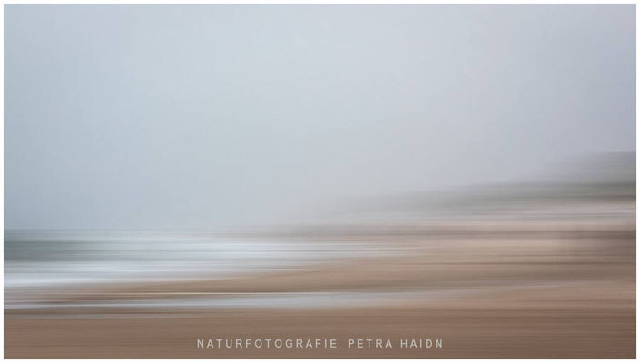 Nature in Motion 13
