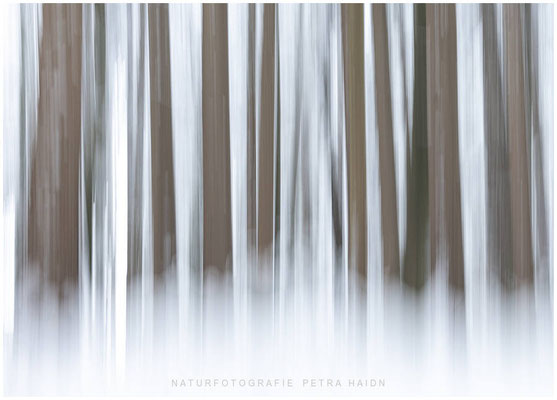 Kreative Natur 63