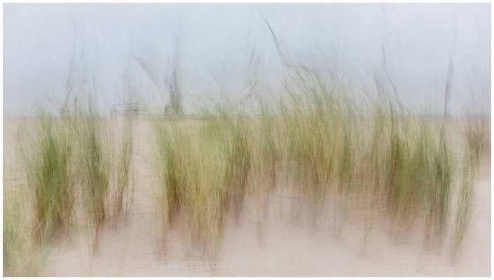 Kreative Natur 07