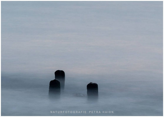 Kreative Natur 55