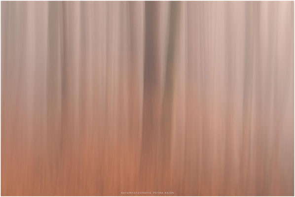 Kreative Natur 11