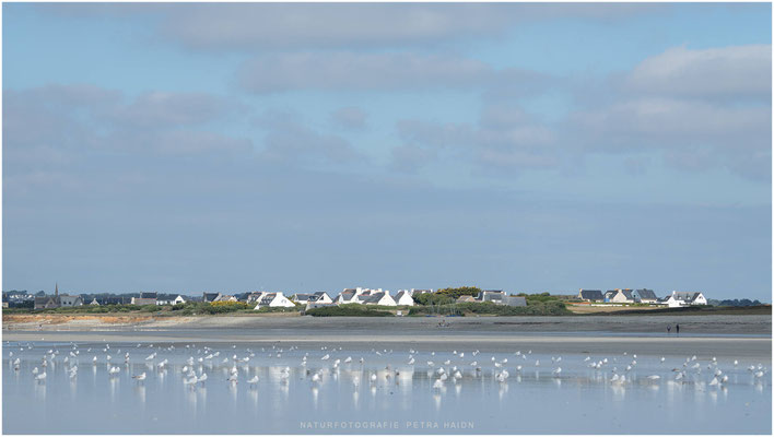 Bretagne 14
