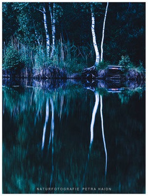 Kreative Natur 42