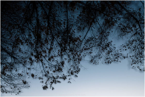 Kreative Natur 02