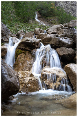 Wasserwelten 25