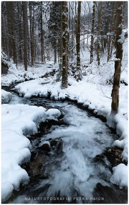 Wasserwelten 03