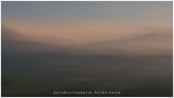 Kreative Natur 29