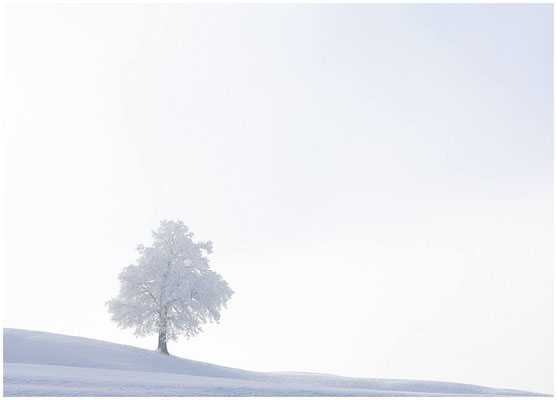 Landschaft 85