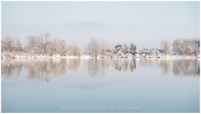 Landschaft 38