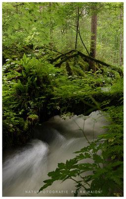 Wasserwelten 23