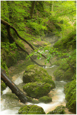 Wasserwelten 20