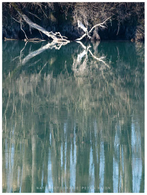 Kreative Natur 41