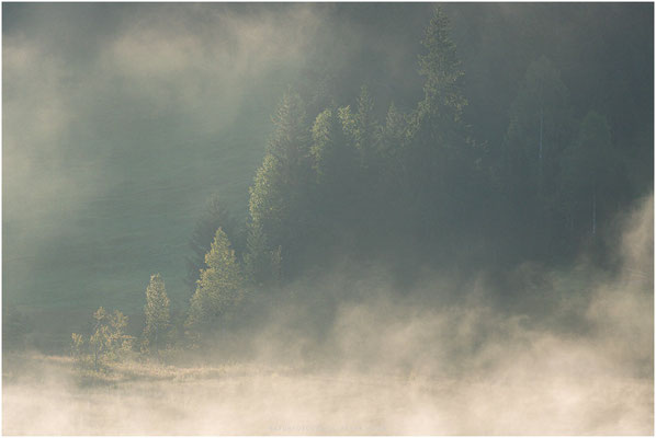 Landschaft 18