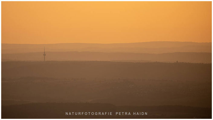 Landschaft 29