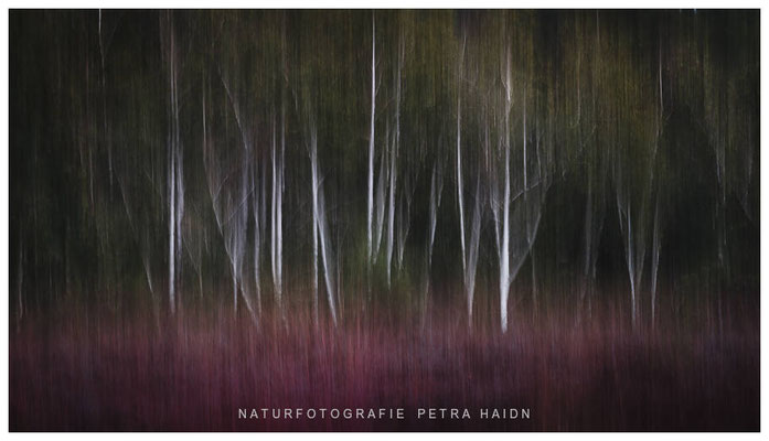 Kreative Natur 25