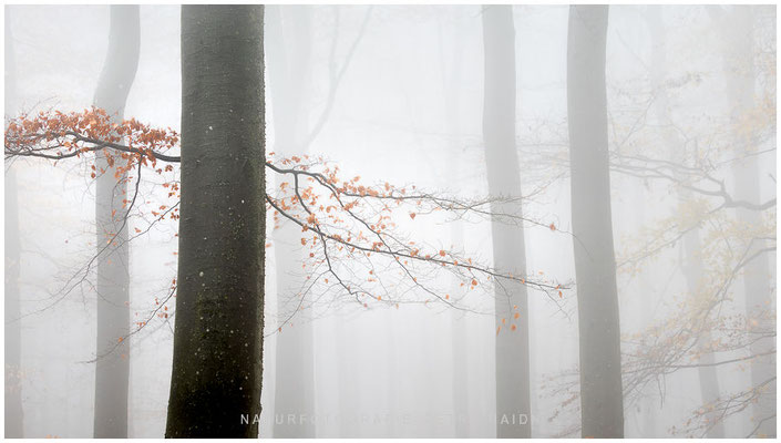 Landschaft 89