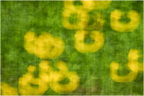 Nature in Motion 05
