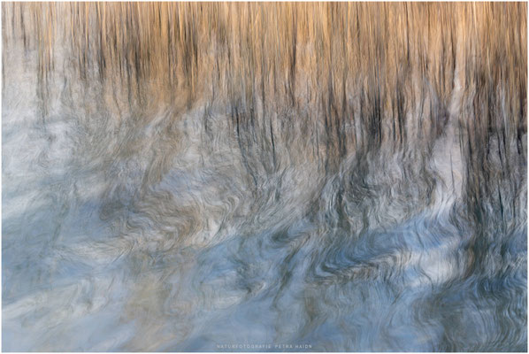 Kreative Natur 06