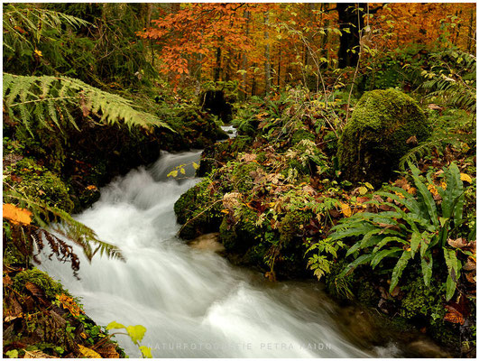Wasserwelten 09