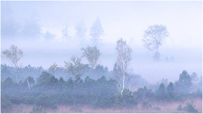 Landschaft 22