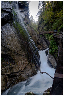 Wasserwelten 42