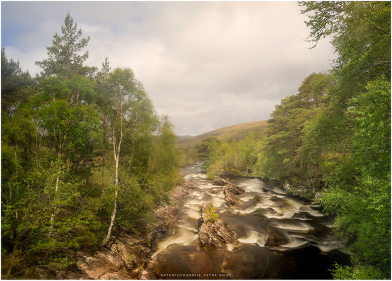 Schottland 23