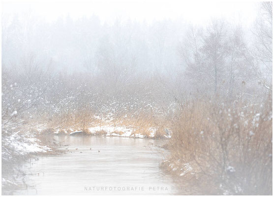 Landschaft 43