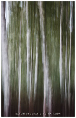 Kreative Natur 19